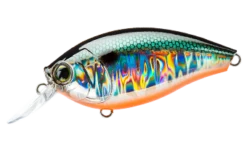 Hardcore Crank 65F 2+ Medium Crankbait 20 Hardcore Crank 65F 2+ Medium Crankbait -Fishing Promotion Store 39410750849113