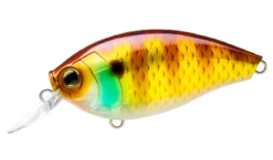 Hardcore Crank 65F 2+ Medium Crankbait 22 Hardcore Crank 65F 2+ Medium Crankbait -Fishing Promotion Store 39410750914649