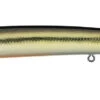 Daiwa Steez Custom HMKL Minnow Jerkbait 1 Daiwa Steez Custom HMKL Minnow Jerkbait -Fishing Promotion Store 39553567490137