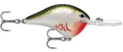 Rapala DT Series Crankbait DT8 26 Rapala DT Series Crankbait DT8 -Fishing Promotion Store 39639347134553