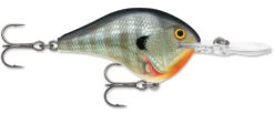 Rapala DT Series Crankbait DT8 29 Rapala DT Series Crankbait DT8 -Fishing Promotion Store 39639347232857
