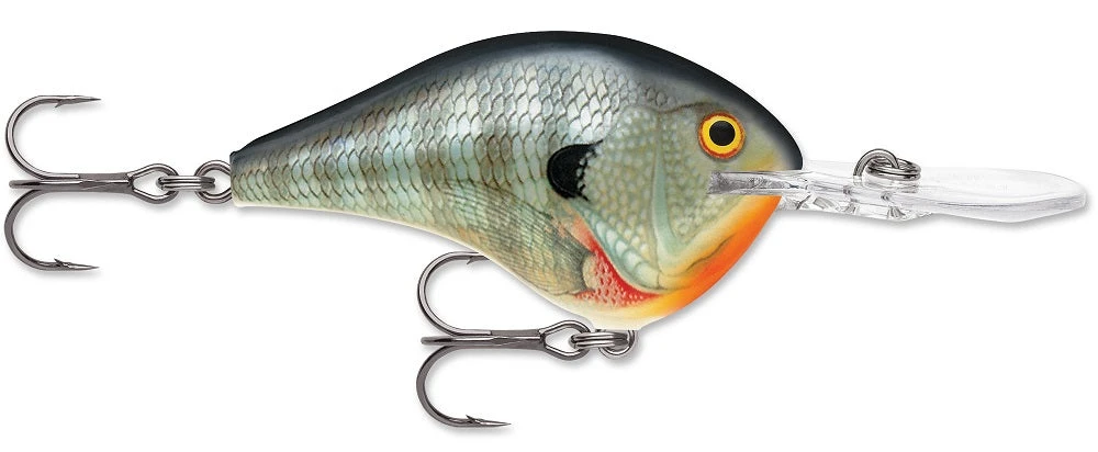 Rapala DT Series Crankbait DT8 10 Rapala DT Series Crankbait DT8 - Image 8