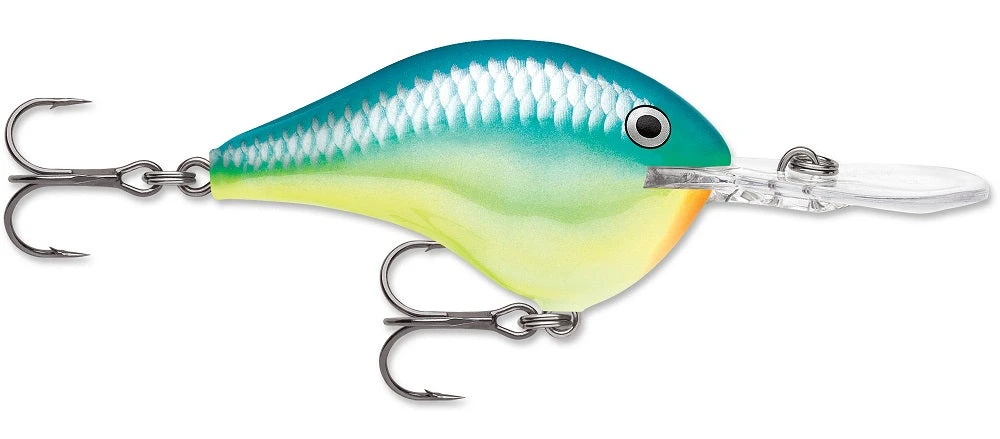 Rapala DT Series Crankbait DT8 11 Rapala DT Series Crankbait DT8 - Image 9