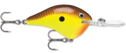 Rapala DT Series Crankbait DT8 31 Rapala DT Series Crankbait DT8 -Fishing Promotion Store 39639347298393