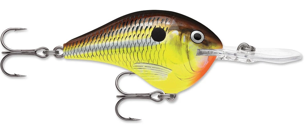 Rapala DT Series Crankbait DT8 21 Rapala DT Series Crankbait DT8 - Image 19