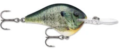 Rapala DT Series Crankbait DT8 41 Rapala DT Series Crankbait DT8 -Fishing Promotion Store 39639347658841