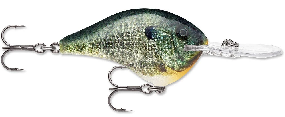 Rapala DT Series Crankbait DT8 22 Rapala DT Series Crankbait DT8 - Image 20