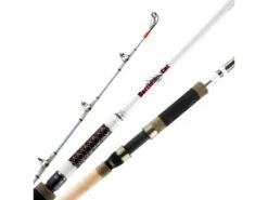 Okuma Battle Cat Catfish Spinning Rod 2-piece -Fishing Promotion Store 39701683798105