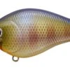 Lucky Craft Fat BDS2 Shallow-Diving Crankbait 1 Lucky Craft Fat BDS2 Shallow-Diving Crankbait -Fishing Promotion Store 39730004721753