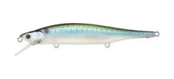 Lucky Craft Lightning Pointer 110 SP Suspending Jerkbait 16 Lucky Craft Lightning Pointer 110 SP Suspending Jerkbait -Fishing Promotion Store 39730013831257