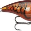 Rapala BX Mid-Brat 05 Squarebill Crankbait 2 Rapala BX Mid-Brat 05 Squarebill Crankbait -Fishing Promotion Store 39740178038873