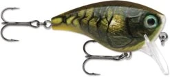 Rapala BX Mid-Brat 05 Squarebill Crankbait 28 Rapala BX Mid-Brat 05 Squarebill Crankbait -Fishing Promotion Store 39740178366553