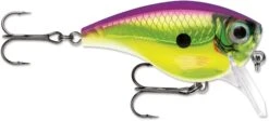Rapala BX Mid-Brat 05 Squarebill Crankbait 30 Rapala BX Mid-Brat 05 Squarebill Crankbait -Fishing Promotion Store 39740178432089