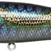Megabass Giant Dog-X Topwater 1 Megabass Giant Dog-X Topwater -Fishing Promotion Store 39751966621785