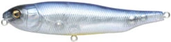 Megabass Giant Dog-X Topwater 19 Megabass Giant Dog-X Topwater -Fishing Promotion Store 39751966687321