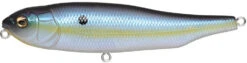 Megabass Giant Dog-X Topwater 24 Megabass Giant Dog-X Topwater -Fishing Promotion Store 39751966851161