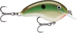 Rapala OG Tiny 04 Shallow Diving Crankbait 27 Rapala OG Tiny 04 Shallow Diving Crankbait -Fishing Promotion Store 39756565971033
