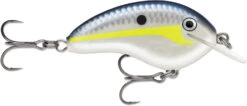 Rapala OG Tiny 04 Shallow Diving Crankbait 31 Rapala OG Tiny 04 Shallow Diving Crankbait -Fishing Promotion Store 39756566134873
