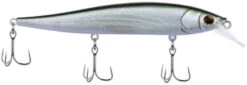 Berkley Stunna Jerkbait 40 Berkley Stunna Jerkbait -Fishing Promotion Store 39765505409113