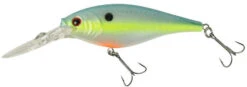 Berkley Flicker Shad Crankbait - 1/8 Oz 40 Berkley Flicker Shad Crankbait - 1/8 Oz -Fishing Promotion Store 39766963028057