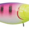 SPRO Madeye Shad 55 Jointed Crankbait 2 SPRO Madeye Shad 55 Jointed Crankbait -Fishing Promotion Store 39781719277657