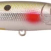 SPRO McRip 85 Jerkbait 1 SPRO McRip 85 Jerkbait -Fishing Promotion Store 39781728190553