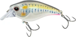 Nomad Design Atlas Squarebill Crankbait 19 Nomad Design Atlas Squarebill Crankbait -Fishing Promotion Store 39840471973977