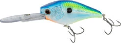 Nomad Design D-Trak Freshwater Extra Deep Diving Crankbait 14 Nomad Design D-Trak Freshwater Extra Deep Diving Crankbait -Fishing Promotion Store 39840486293593