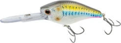 Nomad Design D-Trak Freshwater Extra Deep Diving Crankbait 19 Nomad Design D-Trak Freshwater Extra Deep Diving Crankbait -Fishing Promotion Store 39840486686809