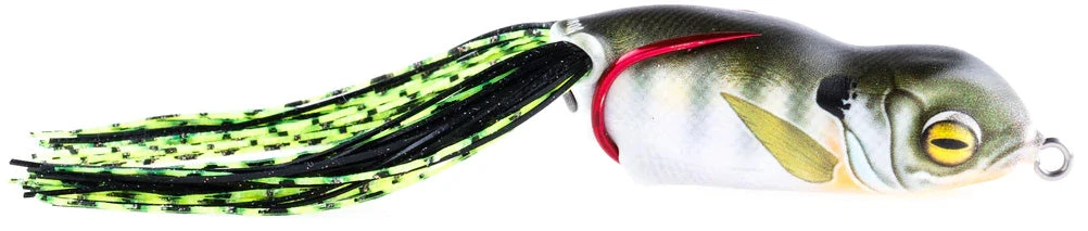 Scum Frog Launch Frog 3 Scum Frog Launch Frog