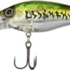 Shimano World Crank WC73F 2 Shimano World Crank WC73F -Fishing Promotion Store 40022140420185
