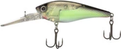 Shimano World Crank WC73F 18 Shimano World Crank WC73F -Fishing Promotion Store 40022140649561