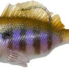 Megabass Sleeper Gill 1 Megabass Sleeper Gill -Fishing Promotion Store 40029826941017