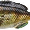Savage Gear Structure Gill Swimbait 1 Savage Gear Structure Gill Swimbait -Fishing Promotion Store 40090735837273