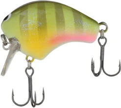 Shimano Macbeth Shallow 50S Hybrid Edge Round Bill Crankbait 14 Shimano Macbeth Shallow 50S Hybrid Edge Round Bill Crankbait -Fishing Promotion Store 40094941118553