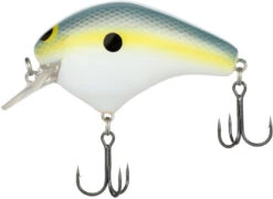 Shimano Macbeth Original 63F Hybrid Edge Square Bill Crankbait 20 Shimano Macbeth Original 63F Hybrid Edge Square Bill Crankbait -Fishing Promotion Store 40094949245017