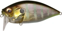 Megabass O.R.C. Over Rev Concept Burning Shad JDM Waking Crankbait 17 Megabass O.R.C. Over Rev Concept Burning Shad JDM Waking Crankbait -Fishing Promotion Store 40205146456153