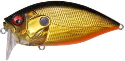 Megabass O.R.C. Over Rev Concept Burning Shad JDM Waking Crankbait 18 Megabass O.R.C. Over Rev Concept Burning Shad JDM Waking Crankbait -Fishing Promotion Store 40205146488921