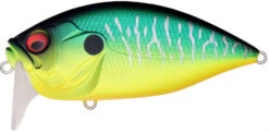 Megabass O.R.C. Over Rev Concept Burning Shad JDM Waking Crankbait 22 Megabass O.R.C. Over Rev Concept Burning Shad JDM Waking Crankbait -Fishing Promotion Store 40205146619993