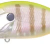 Megabass O.R.C. Over Rev Concept Burning Shad JDM Waking Crankbait 2 Megabass O.R.C. Over Rev Concept Burning Shad JDM Waking Crankbait -Fishing Promotion Store 40205146652761