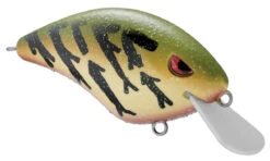 SPRO Speed Demon 55 Crankbait 17 SPRO Speed Demon 55 Crankbait -Fishing Promotion Store 40302758232153
