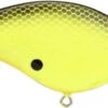Berkley Clickin Frittside Crankbait 2 Berkley Clickin Frittside Crankbait -Fishing Promotion Store 40318246453337