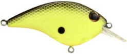 Berkley Clickin Frittside Crankbait 24 Berkley Clickin Frittside Crankbait -Fishing Promotion Store 40318246518873