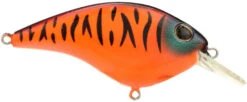 Berkley Clickin Frittside Crankbait 27 Berkley Clickin Frittside Crankbait -Fishing Promotion Store 40318246617177