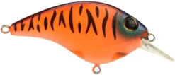 Berkley Clickin Frittside Crankbait 29 Berkley Clickin Frittside Crankbait -Fishing Promotion Store 40318246682713
