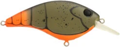 Berkley Clickin Frittside Crankbait 32 Berkley Clickin Frittside Crankbait -Fishing Promotion Store 40318246781017