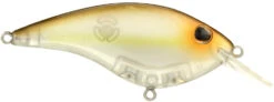 Berkley Clickin Frittside Crankbait 38 Berkley Clickin Frittside Crankbait -Fishing Promotion Store 40318246977625