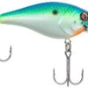 Berkley SquareBull 2 Inch Shallow Squarebill Crankbait 2 Berkley SquareBull 2 Inch Shallow Squarebill Crankbait -Fishing Promotion Store 40319505399897