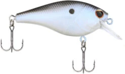 Berkley SquareBull 2 Inch Shallow Squarebill Crankbait 21 Berkley SquareBull 2 Inch Shallow Squarebill Crankbait -Fishing Promotion Store 40319505530969