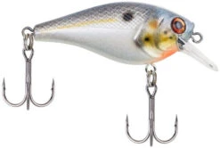 Berkley SquareBull 2 Inch Shallow Squarebill Crankbait 28 Berkley SquareBull 2 Inch Shallow Squarebill Crankbait -Fishing Promotion Store 40319505760345